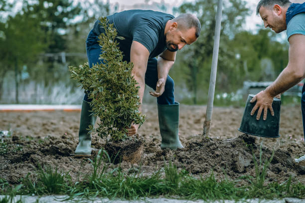 Soil Testing and Treatment in Hampton, IL