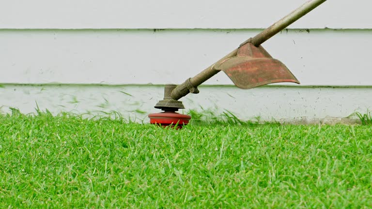 Best Lawn Mowing  in Hampton, IL